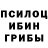 Псилоцибиновые грибы прущие грибы Comrade XBACTYN