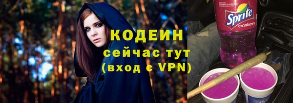 спиды Дмитриев