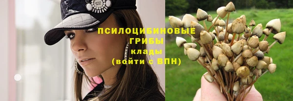 спиды Дмитриев
