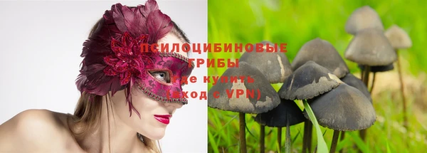 ALPHA PVP Дмитров