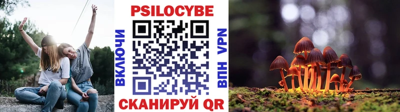 Псилоцибиновые грибы прущие грибы  Коломна 